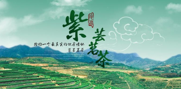 中国品牌日丨紫芸茗茶与中国一起向未来